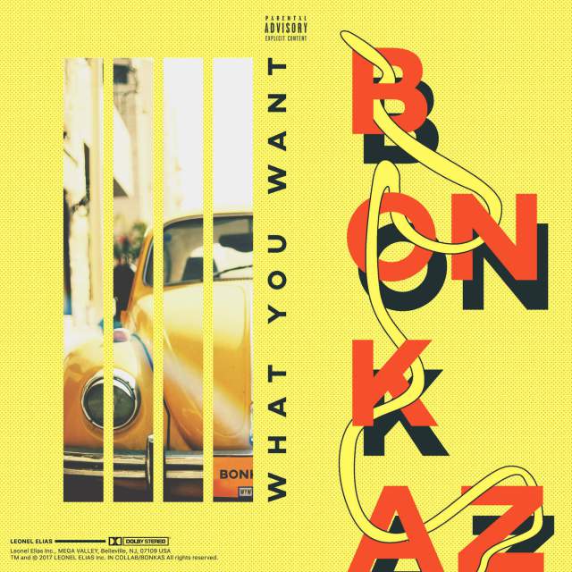 Bonkaz-What-You-Want-iTunes